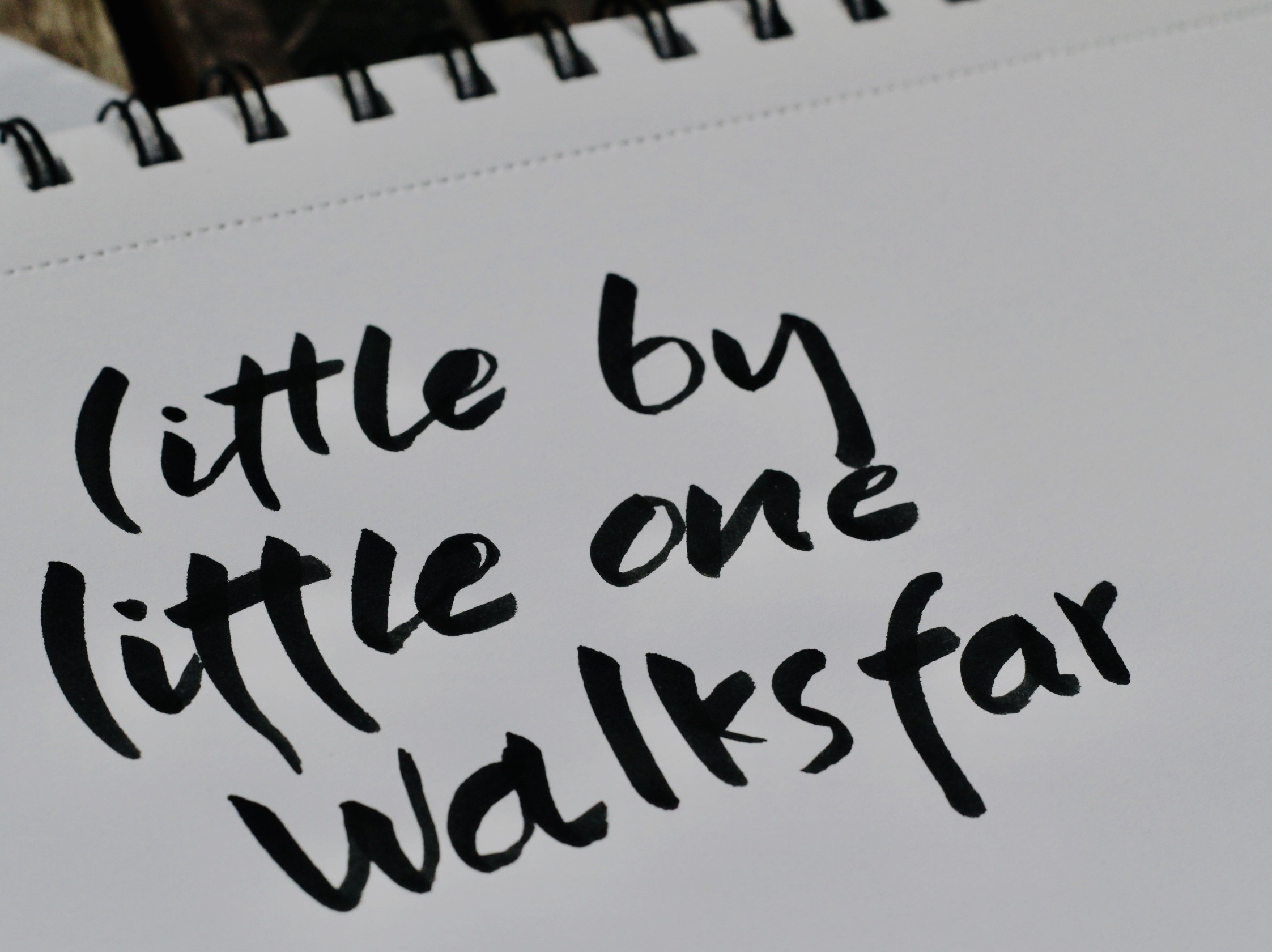 Wild Lettering